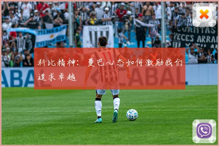 科比精神：曼巴心态如何激励我们追求卓越